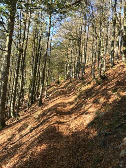 La Magie Entre Deux Lacs Gérardmer Dış mekan fotoğraf