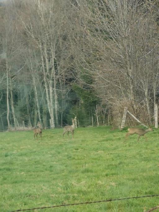 La Magie Entre Deux Lacs Gérardmer Dış mekan fotoğraf