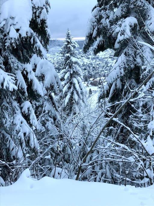 La Magie Entre Deux Lacs Gérardmer Dış mekan fotoğraf
