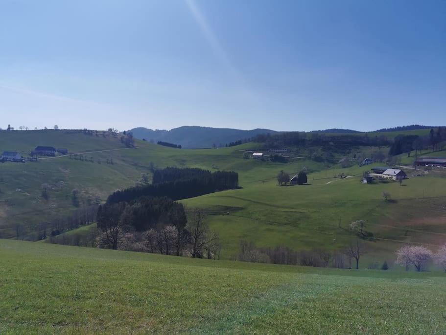 La Magie Entre Deux Lacs Gérardmer Dış mekan fotoğraf