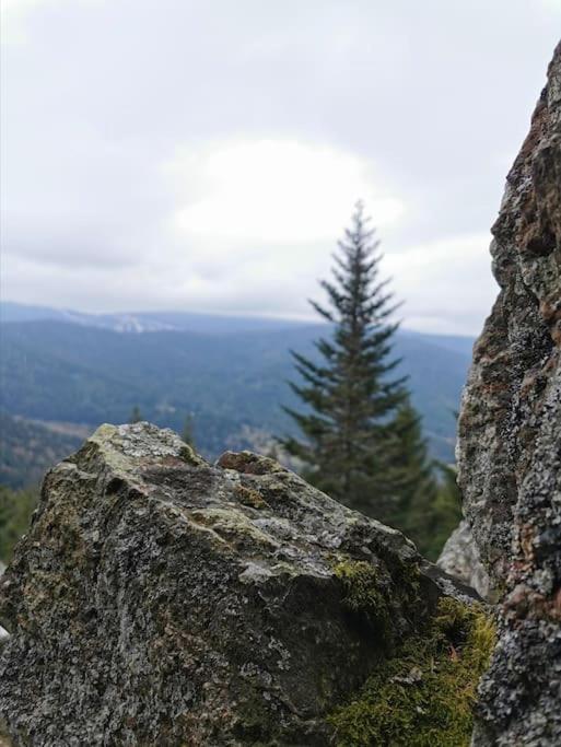 La Magie Entre Deux Lacs Gérardmer Dış mekan fotoğraf